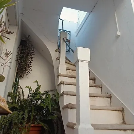 Apartment With Roof Terrace In Town Centre